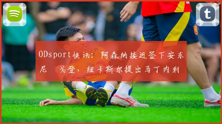 ODsport快讯：阿森纳接近签下安东尼・戈登，纽卡斯尔提出马丁内利交换条件_交易_球员_谈判