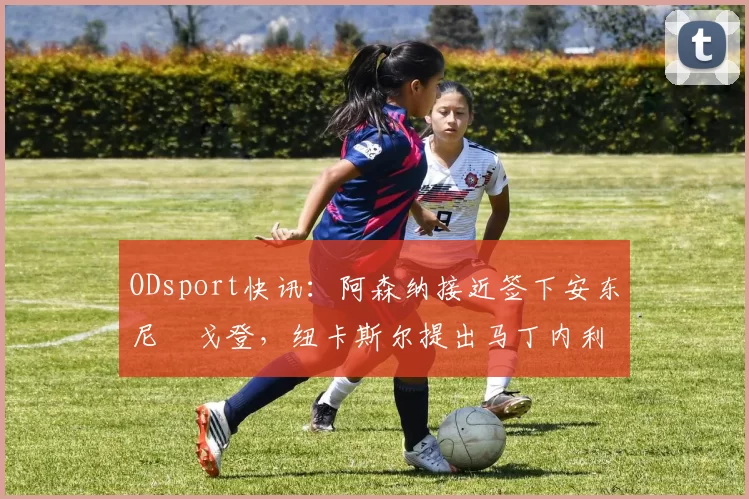 ODsport快讯：阿森纳接近签下安东尼・戈登，纽卡斯尔提出马丁内利交换条件_交易_球员_谈判