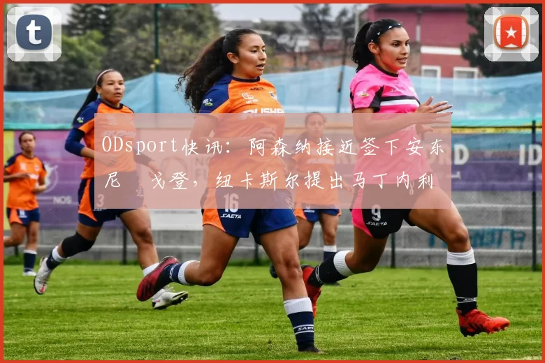 ODsport快讯：阿森纳接近签下安东尼・戈登，纽卡斯尔提出马丁内利交换条件_交易_球员_谈判