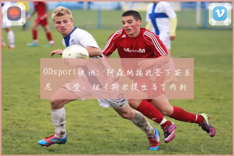 ODsport快讯：阿森纳接近签下安东尼・戈登，纽卡斯尔提出马丁内利交换条件_交易_球员_谈判