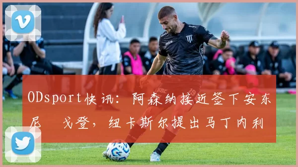 ODsport快讯：阿森纳接近签下安东尼・戈登，纽卡斯尔提出马丁内利交换条件_交易_球员_谈判