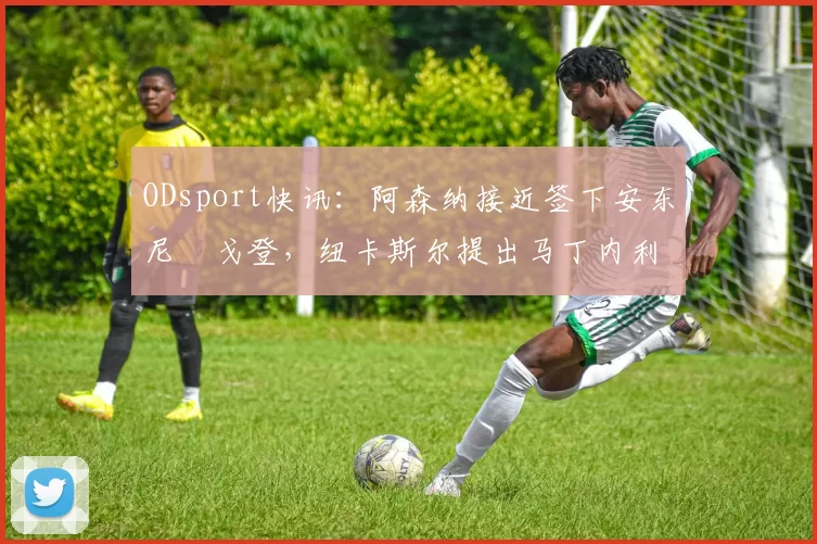 ODsport快讯：阿森纳接近签下安东尼・戈登，纽卡斯尔提出马丁内利交换条件_交易_球员_谈判