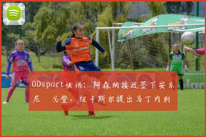 ODsport快讯：阿森纳接近签下安东尼・戈登，纽卡斯尔提出马丁内利交换条件_交易_球员_谈判