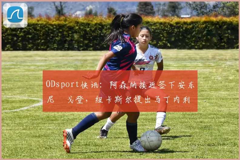 ODsport快讯：阿森纳接近签下安东尼・戈登，纽卡斯尔提出马丁内利交换条件_交易_球员_谈判