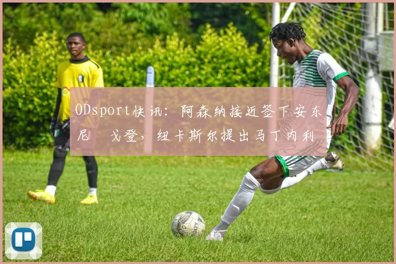 ODsport快讯：阿森纳接近签下安东尼・戈登，纽卡斯尔提出马丁内利交换条件_交易_球员_谈判