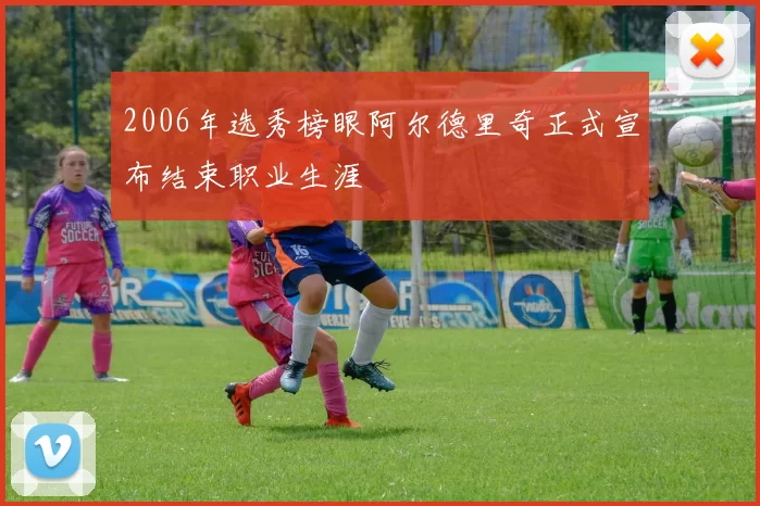 2006年选秀榜眼阿尔德里奇正式宣布结束职业生涯