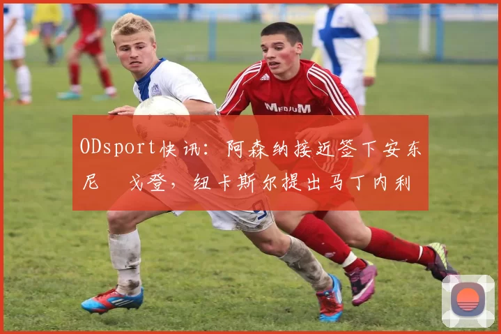 ODsport快讯:阿森纳接近签下安东尼・戈登,纽卡斯尔提出马丁内利交换条件_交易_球员_谈判