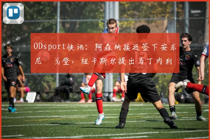 ODsport快讯：阿森纳接近签下安东尼・戈登，纽卡斯尔提出马丁内利交换条件_交易_球员_谈判