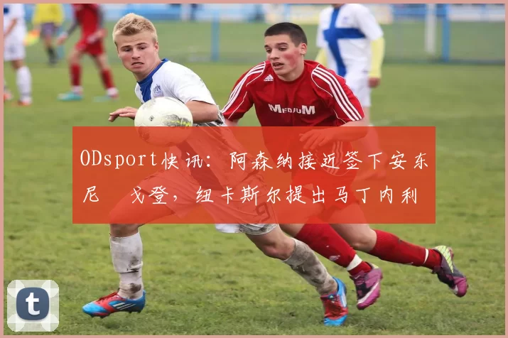 ODsport快讯：阿森纳接近签下安东尼・戈登，纽卡斯尔提出马丁内利交换条件_交易_球员_谈判