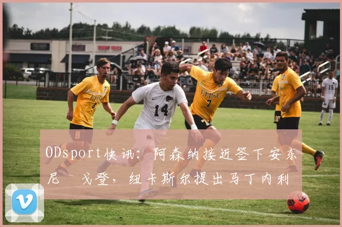 ODsport快讯:阿森纳接近签下安东尼・戈登,纽卡斯尔提出马丁内利交换条件_交易_球员_谈判