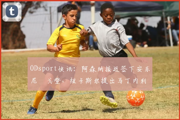 ODsport快讯：阿森纳接近签下安东尼・戈登，纽卡斯尔提出马丁内利交换条件_交易_球员_谈判