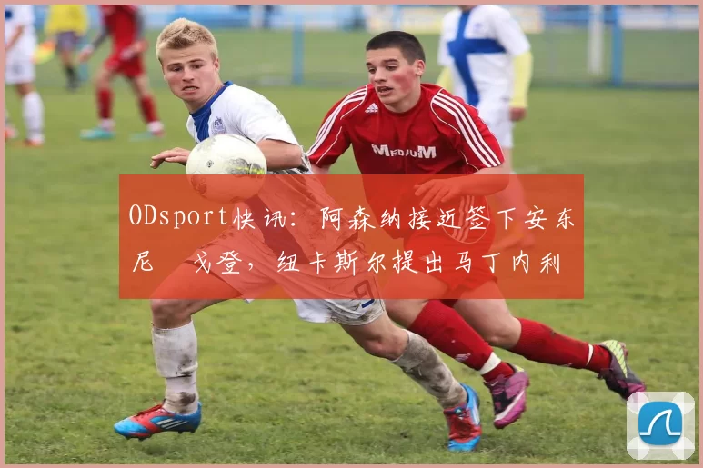 ODsport快讯：阿森纳接近签下安东尼・戈登，纽卡斯尔提出马丁内利交换条件_交易_球员_谈判