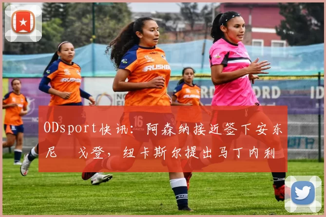 ODsport快讯：阿森纳接近签下安东尼・戈登，纽卡斯尔提出马丁内利交换条件_交易_球员_谈判