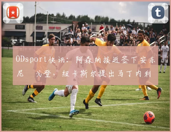ODsport快讯：阿森纳接近签下安东尼・戈登，纽卡斯尔提出马丁内利交换条件_交易_球员_谈判