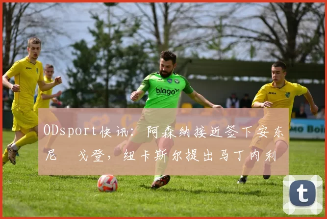 ODsport快讯:阿森纳接近签下安东尼・戈登,纽卡斯尔提出马丁内利交换条件_交易_球员_谈判
