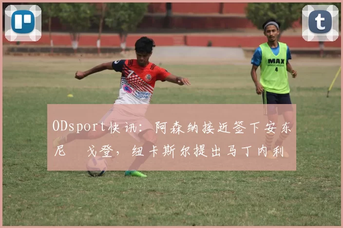 ODsport快讯：阿森纳接近签下安东尼・戈登，纽卡斯尔提出马丁内利交换条件_交易_球员_谈判