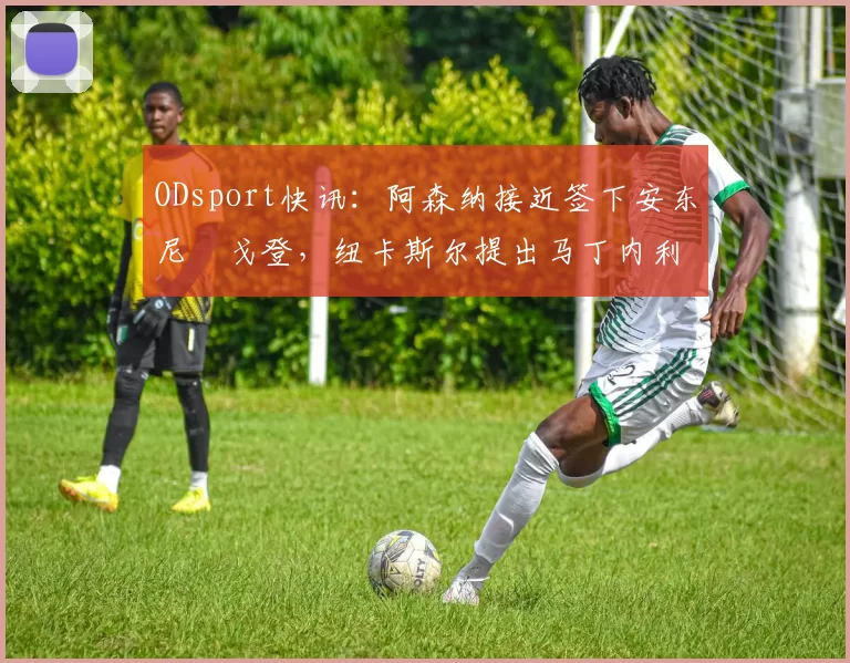 ODsport快讯：阿森纳接近签下安东尼・戈登，纽卡斯尔提出马丁内利交换条件_交易_球员_谈判