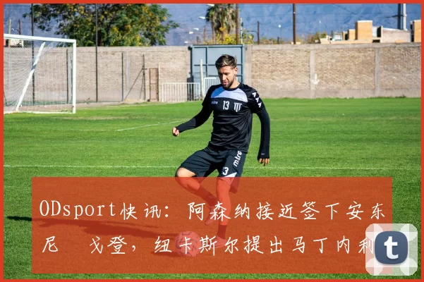 ODsport快讯：阿森纳接近签下安东尼・戈登，纽卡斯尔提出马丁内利交换条件_交易_球员_谈判