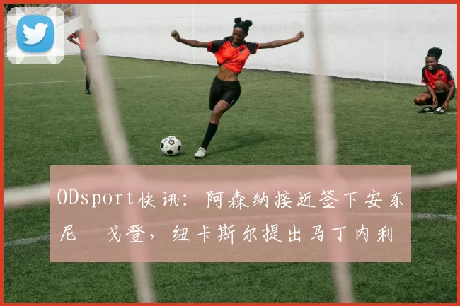 ODsport快讯：阿森纳接近签下安东尼・戈登，纽卡斯尔提出马丁内利交换条件_交易_球员_谈判