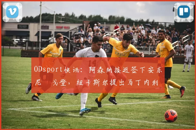 ODsport快讯：阿森纳接近签下安东尼・戈登，纽卡斯尔提出马丁内利交换条件_交易_球员_谈判