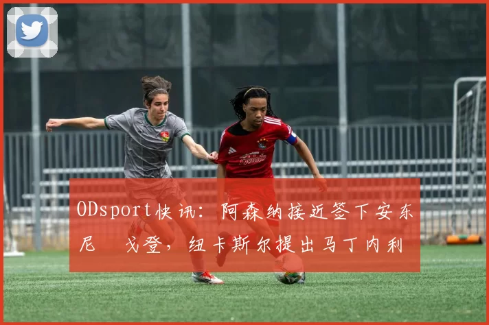 ODsport快讯：阿森纳接近签下安东尼・戈登，纽卡斯尔提出马丁内利交换条件_交易_球员_谈判