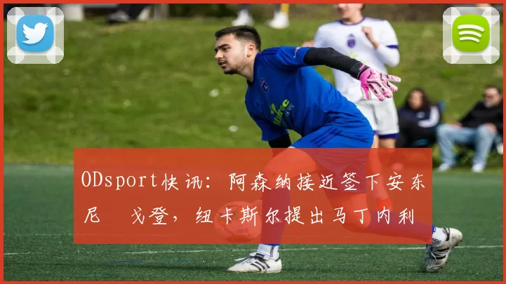 ODsport快讯：阿森纳接近签下安东尼・戈登，纽卡斯尔提出马丁内利交换条件_交易_球员_谈判