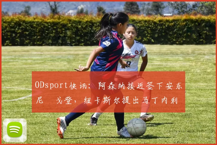 ODsport快讯：阿森纳接近签下安东尼・戈登，纽卡斯尔提出马丁内利交换条件_交易_球员_谈判