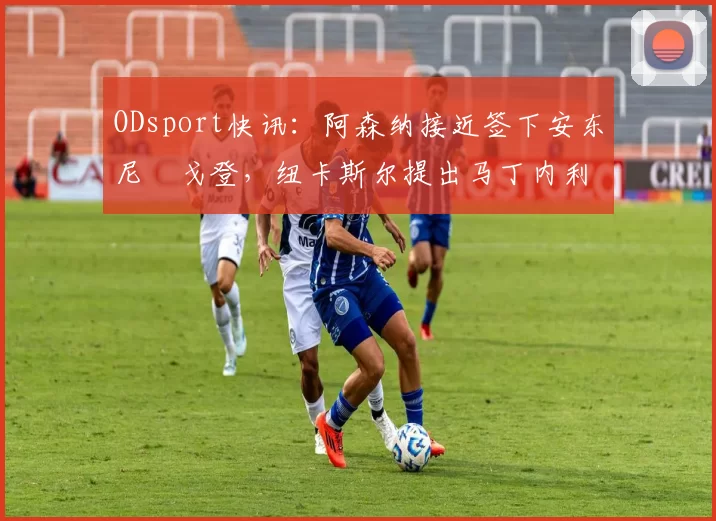 ODsport快讯：阿森纳接近签下安东尼・戈登，纽卡斯尔提出马丁内利交换条件_交易_球员_谈判