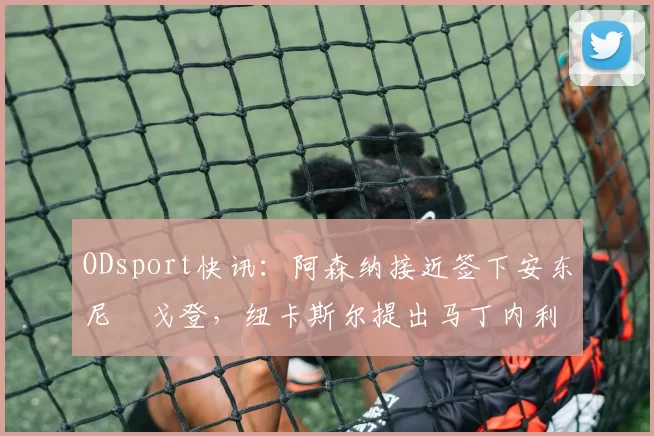 ODsport快讯：阿森纳接近签下安东尼・戈登，纽卡斯尔提出马丁内利交换条件_交易_球员_谈判