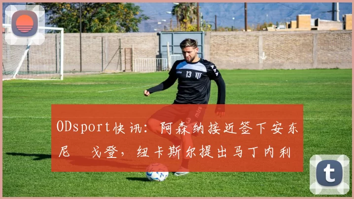 ODsport快讯：阿森纳接近签下安东尼・戈登，纽卡斯尔提出马丁内利交换条件_交易_球员_谈判