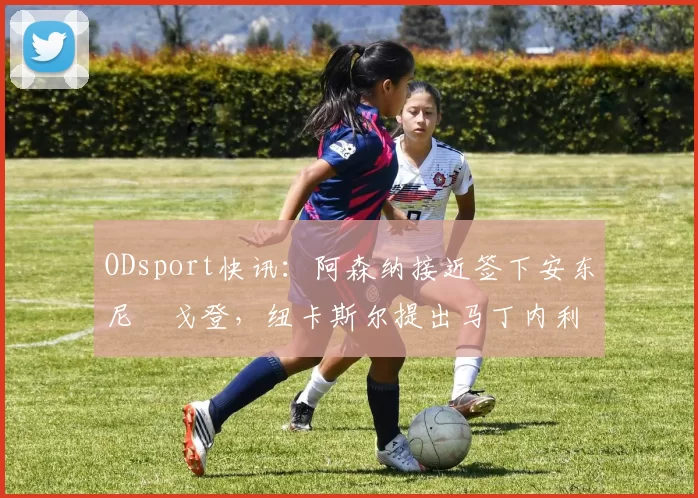 ODsport快讯:阿森纳接近签下安东尼・戈登,纽卡斯尔提出马丁内利交换条件_交易_球员_谈判