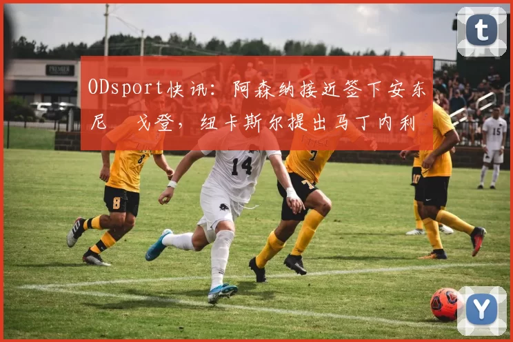 ODsport快讯:阿森纳接近签下安东尼・戈登,纽卡斯尔提出马丁内利交换条件_交易_球员_谈判