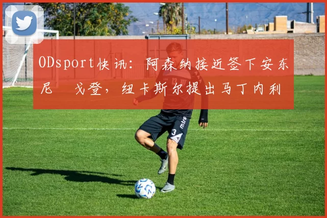ODsport快讯：阿森纳接近签下安东尼・戈登，纽卡斯尔提出马丁内利交换条件_交易_球员_谈判