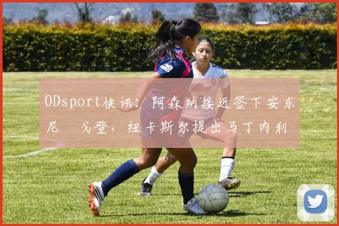 ODsport快讯:阿森纳接近签下安东尼・戈登,纽卡斯尔提出马丁内利交换条件_交易_球员_谈判