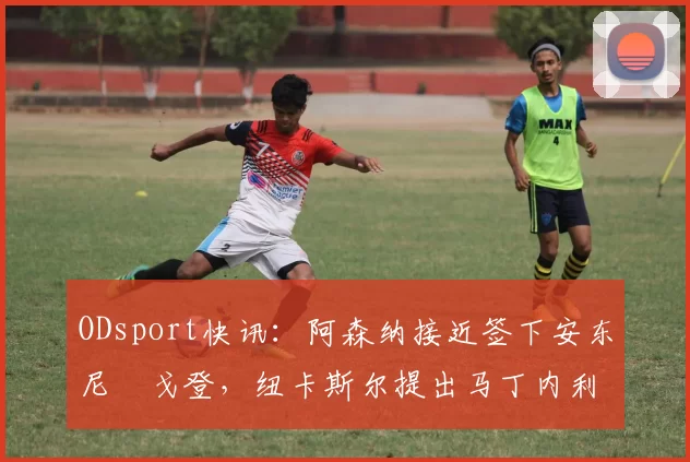 ODsport快讯：阿森纳接近签下安东尼・戈登，纽卡斯尔提出马丁内利交换条件_交易_球员_谈判
