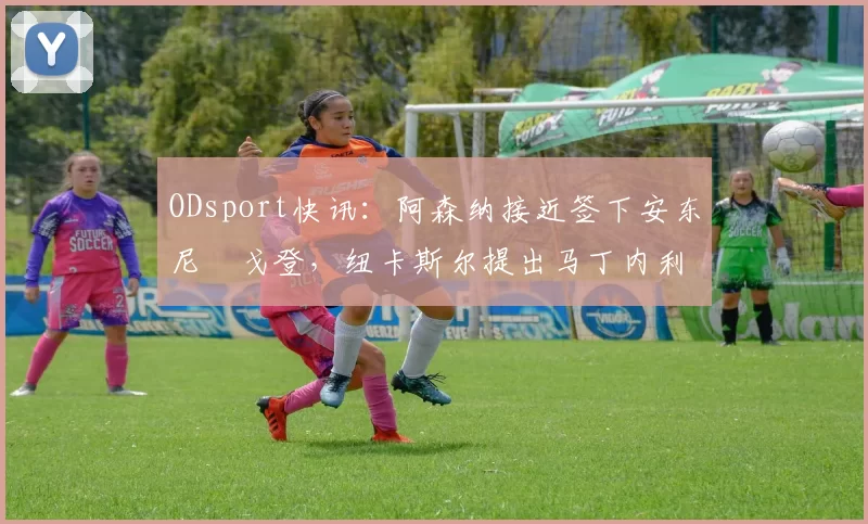 ODsport快讯：阿森纳接近签下安东尼・戈登，纽卡斯尔提出马丁内利交换条件_交易_球员_谈判