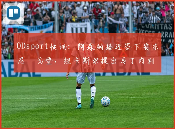 ODsport快讯：阿森纳接近签下安东尼・戈登，纽卡斯尔提出马丁内利交换条件_交易_球员_谈判