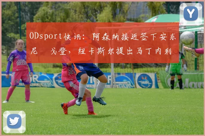 ODsport快讯：阿森纳接近签下安东尼・戈登，纽卡斯尔提出马丁内利交换条件_交易_球员_谈判