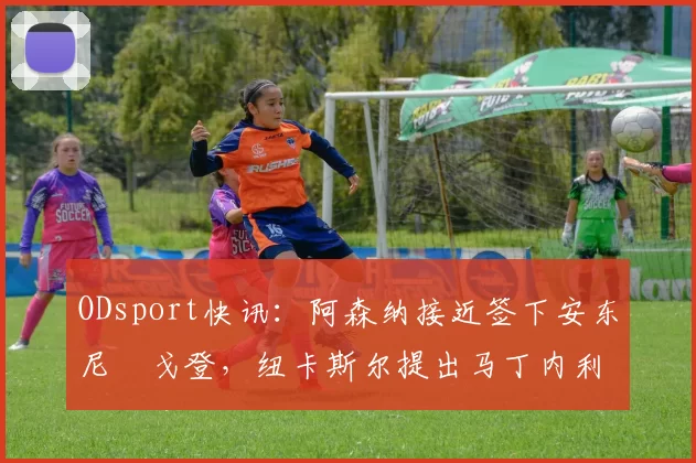 ODsport快讯：阿森纳接近签下安东尼・戈登，纽卡斯尔提出马丁内利交换条件_交易_球员_谈判