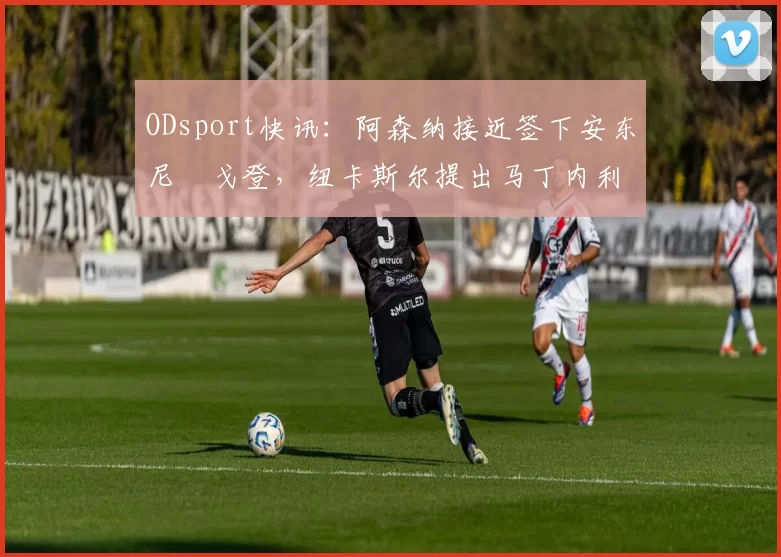 ODsport快讯：阿森纳接近签下安东尼・戈登，纽卡斯尔提出马丁内利交换条件_交易_球员_谈判