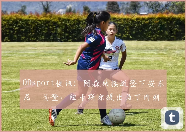ODsport快讯：阿森纳接近签下安东尼・戈登，纽卡斯尔提出马丁内利交换条件_交易_球员_谈判