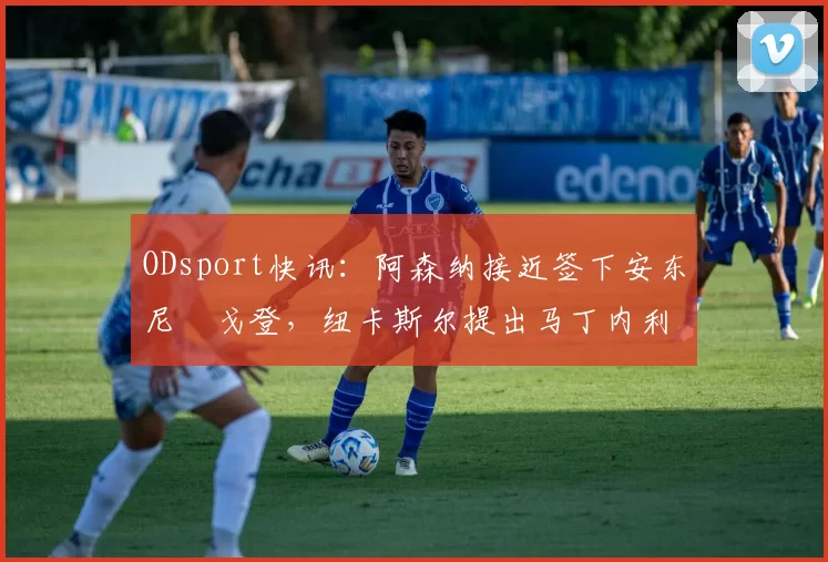 ODsport快讯:阿森纳接近签下安东尼・戈登,纽卡斯尔提出马丁内利交换条件_交易_球员_谈判