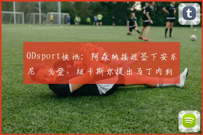 ODsport快讯：阿森纳接近签下安东尼・戈登，纽卡斯尔提出马丁内利交换条件_交易_球员_谈判