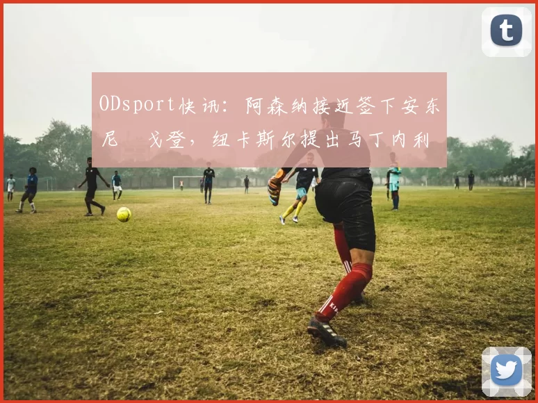 ODsport快讯：阿森纳接近签下安东尼・戈登，纽卡斯尔提出马丁内利交换条件_交易_球员_谈判