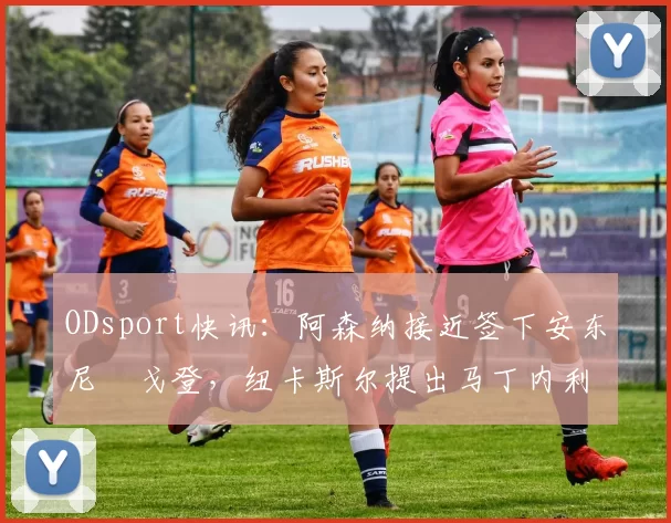 ODsport快讯:阿森纳接近签下安东尼・戈登,纽卡斯尔提出马丁内利交换条件_交易_球员_谈判