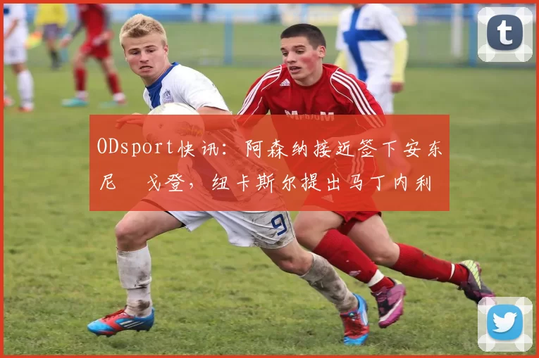ODsport快讯：阿森纳接近签下安东尼・戈登，纽卡斯尔提出马丁内利交换条件_交易_球员_谈判