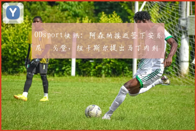 ODsport快讯：阿森纳接近签下安东尼・戈登，纽卡斯尔提出马丁内利交换条件_交易_球员_谈判