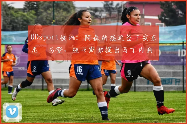 ODsport快讯:阿森纳接近签下安东尼・戈登,纽卡斯尔提出马丁内利交换条件_交易_球员_谈判