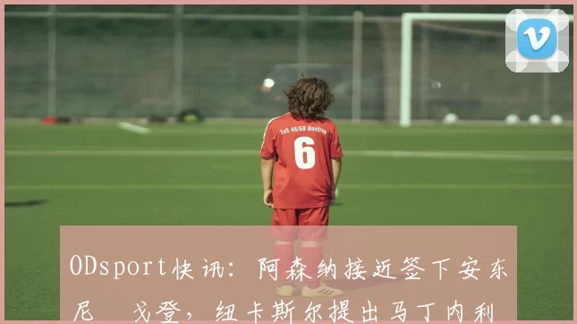 ODsport快讯：阿森纳接近签下安东尼・戈登，纽卡斯尔提出马丁内利交换条件_交易_球员_谈判