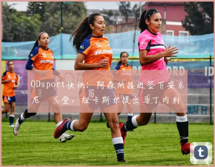 ODsport快讯：阿森纳接近签下安东尼・戈登，纽卡斯尔提出马丁内利交换条件_交易_球员_谈判